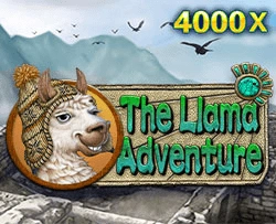 JDB : Llama Adventure - JETPLANE168