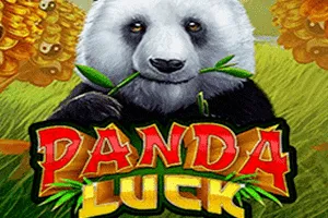 Playtech : Panda Luck - JETPLANE168