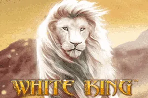 Playtech : White King - JETPLANE168