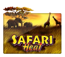 Joker123 : Safari Heat - JETPLANE168