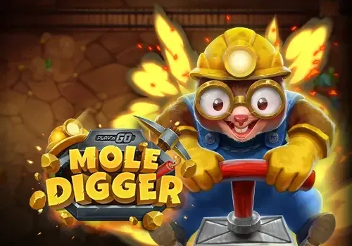 PlaynGo : Playn GO Mole Digger - JETPLANE168