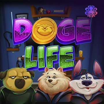 Octoplay : Doge Life - JETPLANE168