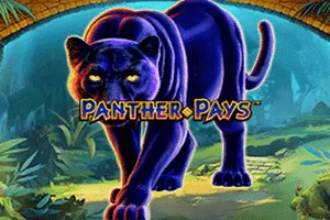 Playtech : Panther Pays - JETPLANE168