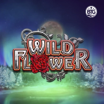Bigtime : Wild Flower - JETPLANE168