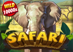 AFB : Safari - JETPLANE168